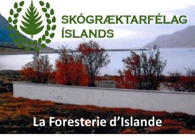 « La Foresterie d’Islande » – 1er octobre 2024